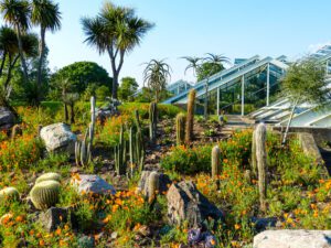 The Royal Botanic Gardens at Kew