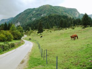 Slovenian Alps