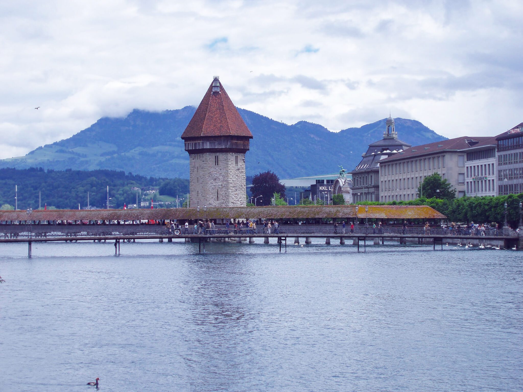 Lucerne post feature image