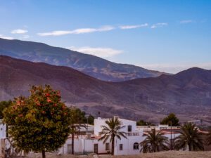 Andalusia Landscape