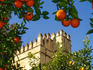 Cordoba Views